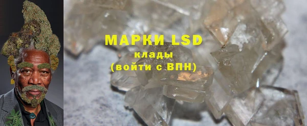 мяу мяу мука Горняк