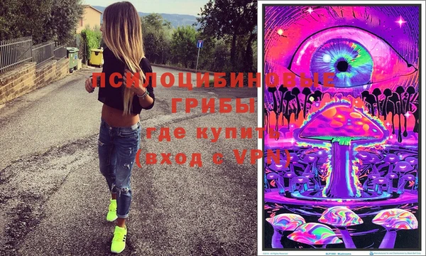 мяу мяу мука Горняк