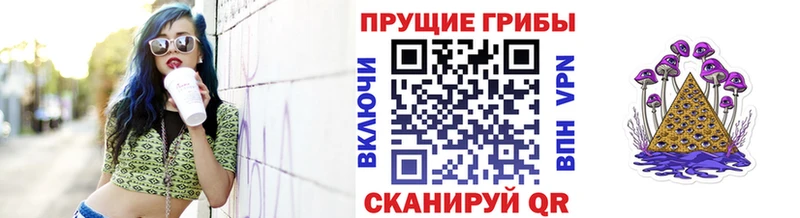 купить наркотик  hydra ССЫЛКА  Псилоцибиновые грибы ЛСД  Железногорск 